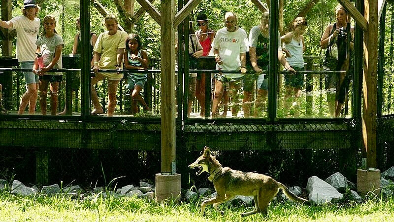 Image source: United States Fish and Wildlife Service