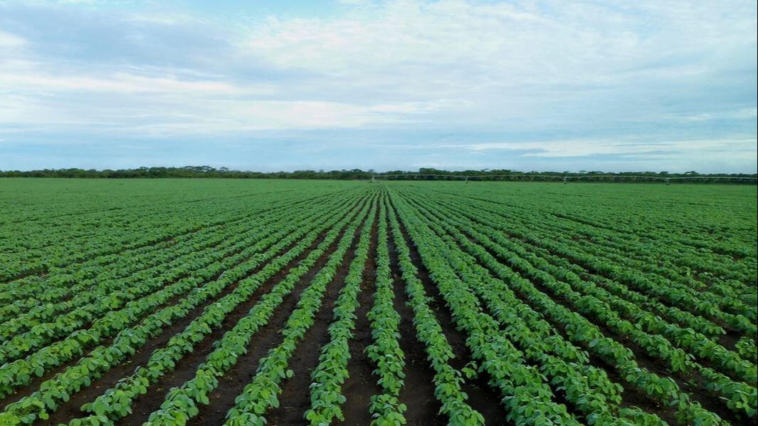 Image source: United States Fish and Wildlife Service