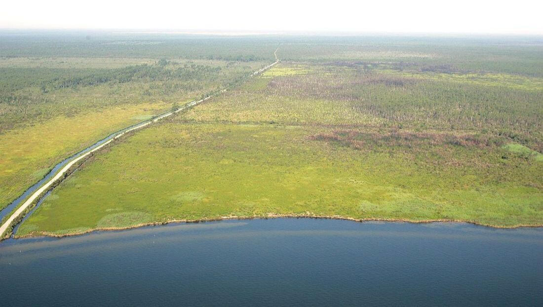 Image source: United States Fish and Wildlife Service