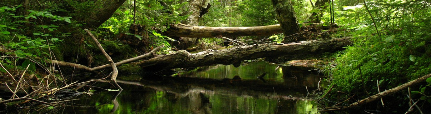 Image source: United States Fish and Wildlife Service