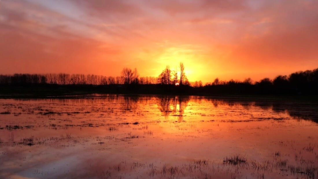 Image source: United States Fish and Wildlife Service