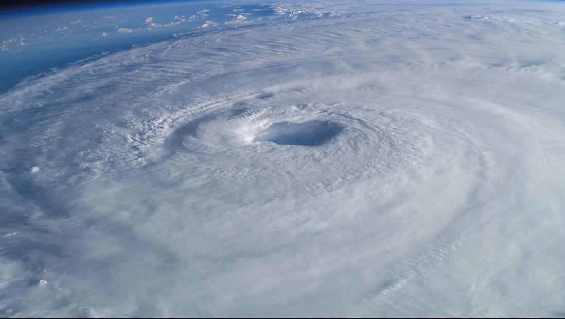 Image source: United States Fish and Wildlife Service