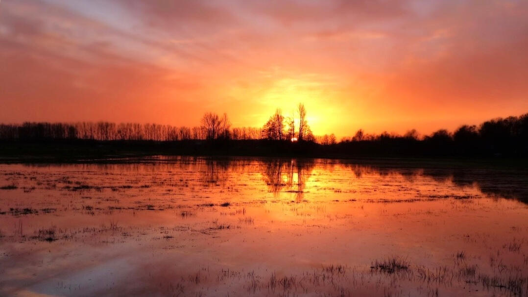 Image source: United States Fish and Wildlife Service